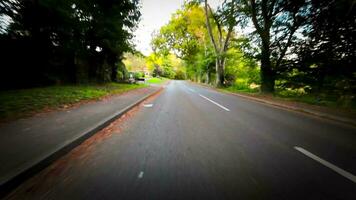 Herbst Fahrt durch heiter Wald Fahrbahn video