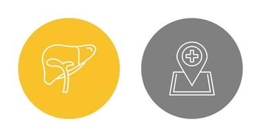 Liver and Location Icon vector