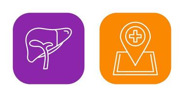Liver and Location Icon vector