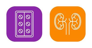 Pills and Kidney Icon vector