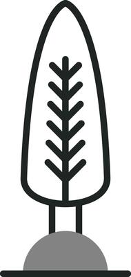 Cypress Vector Icon
