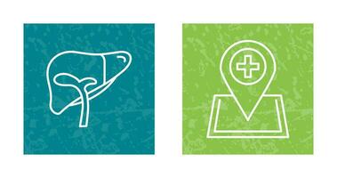 Liver and Location Icon vector