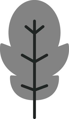Arugula Vector Icon