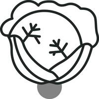 Cabbage Vector Icon