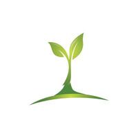 logotipos de la ecología de la hoja del árbol verde vector