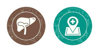 Liver and Location Icon vector