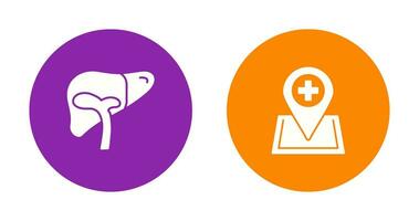 Liver and Location Icon vector