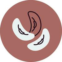 Kidney Bean Vector Icon