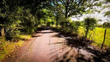 Herbst Fahrt durch heiter Wald Fahrbahn video