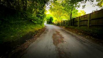 herfst rit door sereen Woud rijbaan video