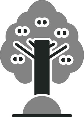 Apricot Vector Icon