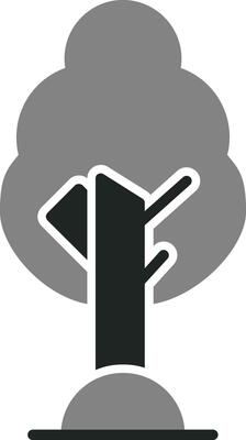 Birch Vector Icon