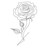 Continuous one line rose flower  outline vector art drawing