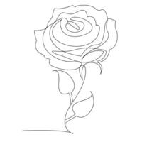 Continuous one line rose flower  outline vector art drawing