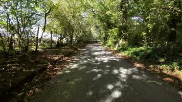 Herbst Fahrt durch still Landschaft Straßen video