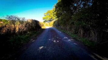 Herbst Fahrt durch heiter Wald Fahrbahn video