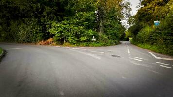 Herbst Fahrt durch heiter Wald Fahrbahn video