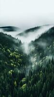 un aéreo Disparo de un denso bosque con un blanco niebla foto