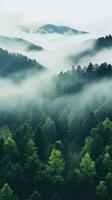 A high angle shot of a forest with a white fog covering photo