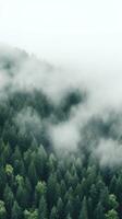 un parte superior ver de un bosque con un blanco niebla laminación terminado el copas de los árboles foto