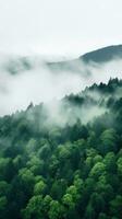 A high angle shot of a forest with a white fog covering photo