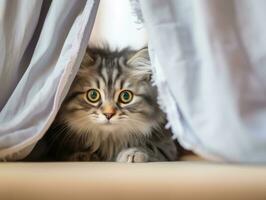 adorable kitten peeking out from behind a curtain AI Generative photo