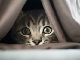 adorable kitten peeking out from behind a curtain AI Generative photo