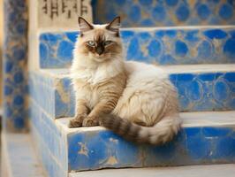 majestic cat with striking blue eyes sitting regally on a staircase AI Generative photo