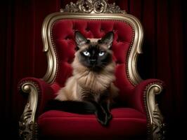 real siamés gato planteado en un lujoso silla ai generativo foto