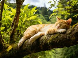 Serene cat resting on a tree branch surrounded by lush foliage AI Generativ photo