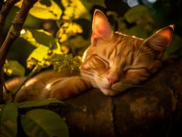 Serene cat resting on a tree branch surrounded by lush foliage AI Generative photo