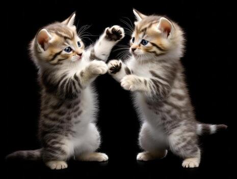Pair of playful kittens engaged in a friendly wrestling match AI Generative photo