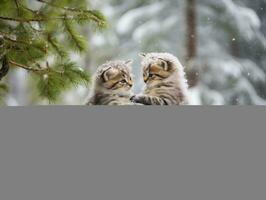 Pair of playful kittens engaged in a friendly wrestling match AI Generative photo