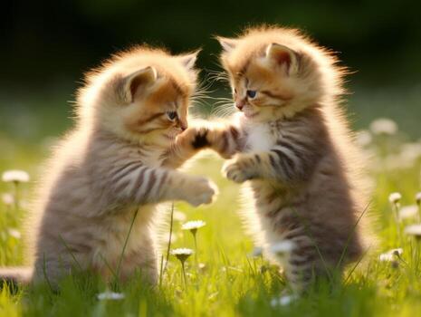 Pair of playful kittens engaged in a friendly wrestling match AI Generative photo