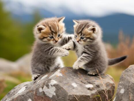 par de juguetón gatitos comprometido en un simpático lucha partido ai generativo foto