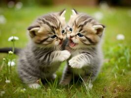 Pair of playful kittens engaged in a friendly wrestling match AI Generative photo