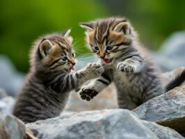 Pair of playful kittens engaged in a friendly wrestling match AI Generative photo