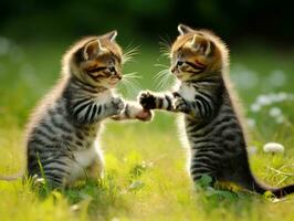 Pair of playful kittens engaged in a friendly wrestling match AI Generative photo