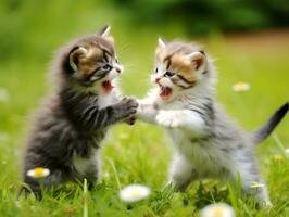 Pair of playful kittens engaged in a friendly wrestling match AI Generative photo