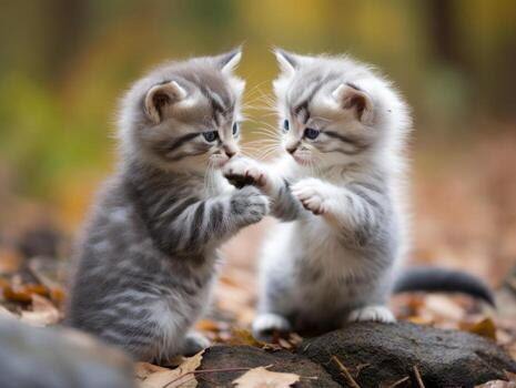 Pair of playful kittens engaged in a friendly wrestling match AI Generative photo