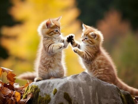 Pair of playful kittens engaged in a friendly wrestling match AI Generative photo