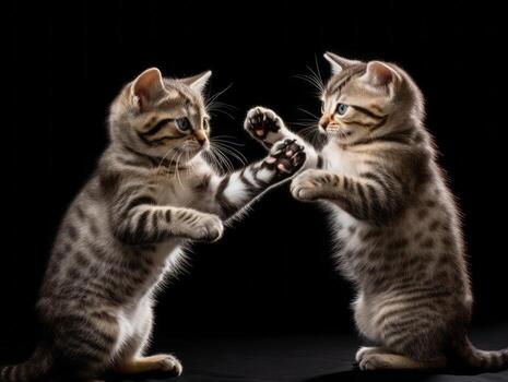 Pair of playful kittens engaged in a friendly wrestling match AI Generative photo