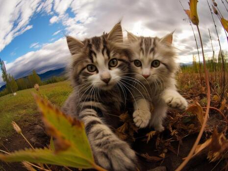 Pair of playful kittens engaged in a friendly wrestling match AI Generative photo