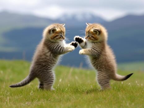 par de juguetón gatitos comprometido en un simpático lucha partido ai generativo foto