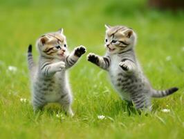 Pair of playful kittens engaged in a friendly wrestling match AI Generative photo