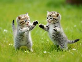 Pair of playful kittens engaged in a friendly wrestling match AI Generative photo