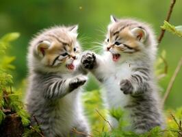 Pair of playful kittens engaged in a friendly wrestling match AI Generative photo