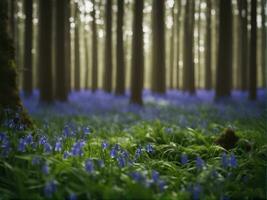 Sunlight shines through beech trees in the bluebell woods of Hallerbos in Belgium AI-Generated photo