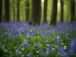 Sunlight shines through beech trees in the bluebell woods of Hallerbos in Belgium AI-Generated photo