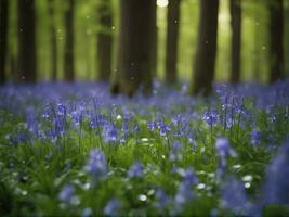 Sunlight shines through beech trees in the bluebell woods of Hallerbos in Belgium AI-Generated photo